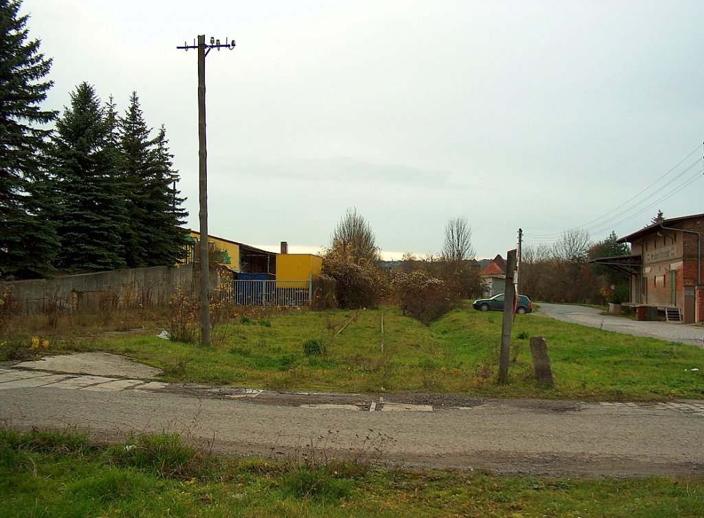 �stliche Bahnhofseinfahrt in Bad Bibra. Rechts erkennt man die noch heute befahrbare alte Ladestra�e; 15.11.2009