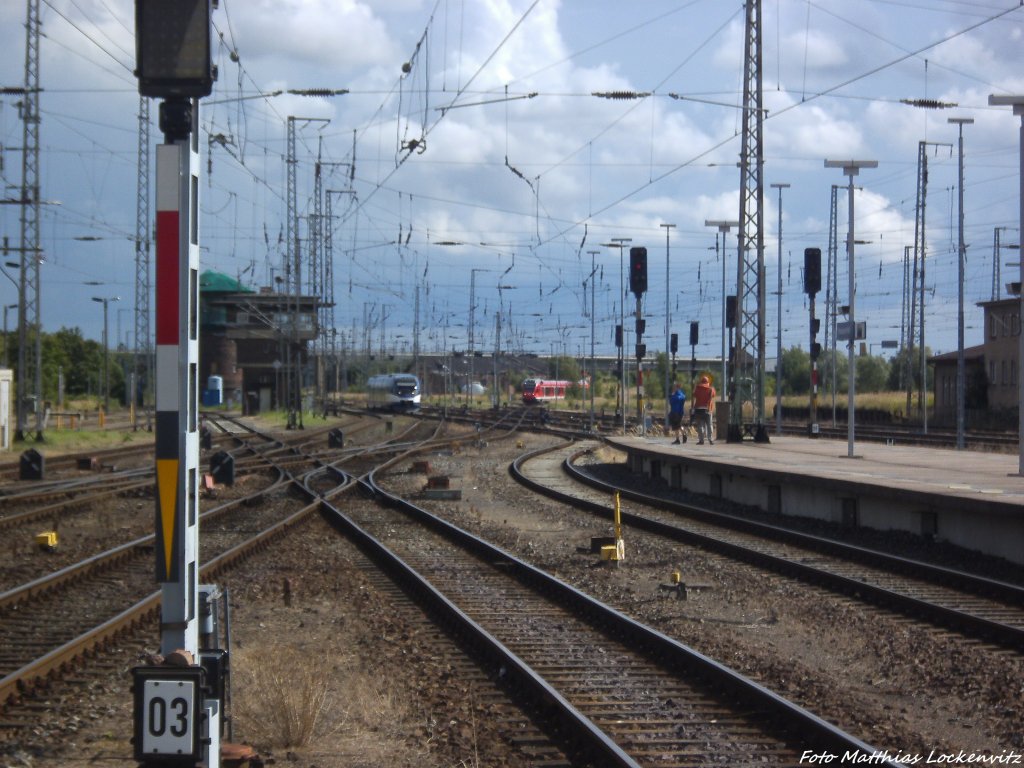 OLA VT 0006 aus Neustrelitz Hbf bei der Einfahrt in den Bahnhof Stralsund Hbf am 13.8.13