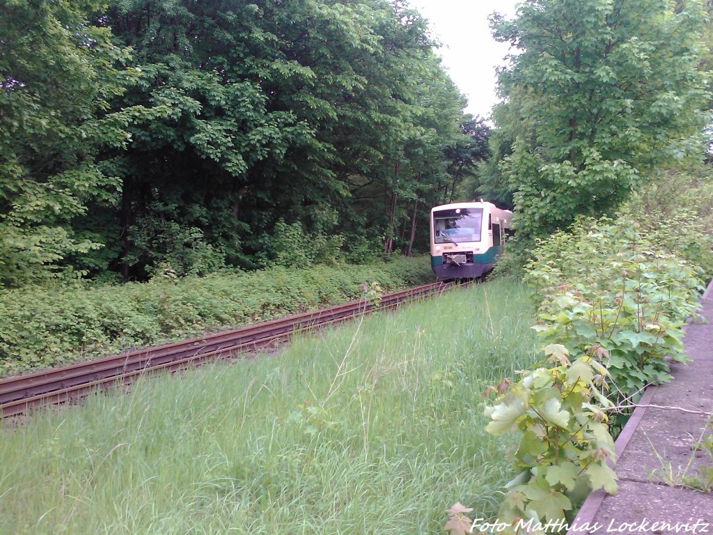 PRESS 650 032-4 aus Lauterbach Mole mit Ziel Bergen auf Rgen bei der Einfahrt in Putbus am 26.5.13