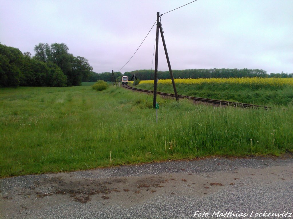 PRESS 650 032-4 kurz vor Putbus / Foto endstandt bei Pastitz am 26.5.13