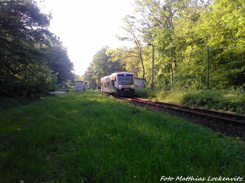 PRESS 650 032-4 unterwegs nach Lauterbach Mole bei der Durchfahrt am Ehemaligen Haltepunkt Pastitz am 27.5.13