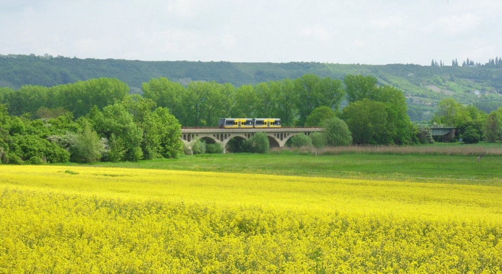 RB 25972 von Naumburg (S) Ost nach Wangen, auf dem Hochwasserviadukt bei Kirchscheidungen; 23.05.2010 (Foto: Christof Rommel)