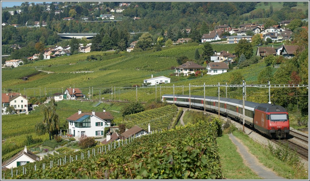 Re 460 mit einem IR Luzern  - Genve bei Bossire.
3. Okt. 2010