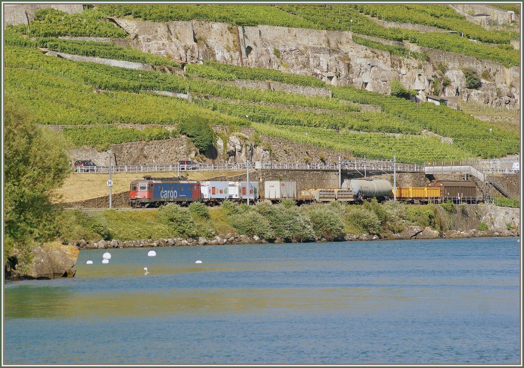 Re 620 013-5 mit einem Gterzug bei Rivaz. 
7. Juli 2010