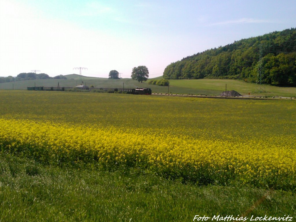 RBB 99 1784 beim Halten am Haltepunkt Seelvitz am 30.5.13