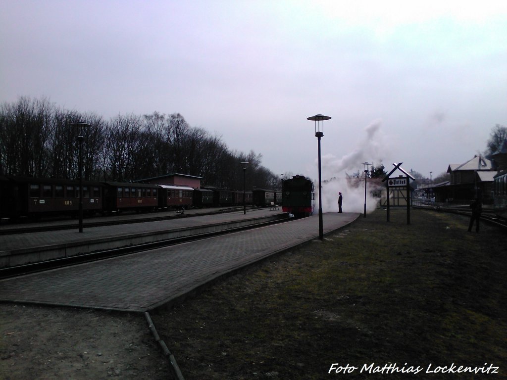 RBB Mh 53 im Bahnhof Putbus am 10.4.13