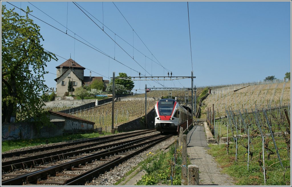 SBB Flirt bei Lutry.
15. April 2011p