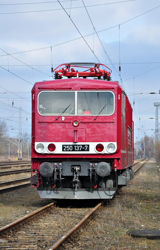 Seit letztem Freitag ist die 250 137-7 zu Gast in Rostock-Seehafen.Am 08.04.2013 pausiert sie immer noch.