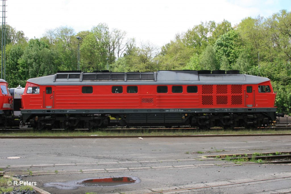 Seitenansicht von 233 217-9 in Marktredwitz. 12.05.12