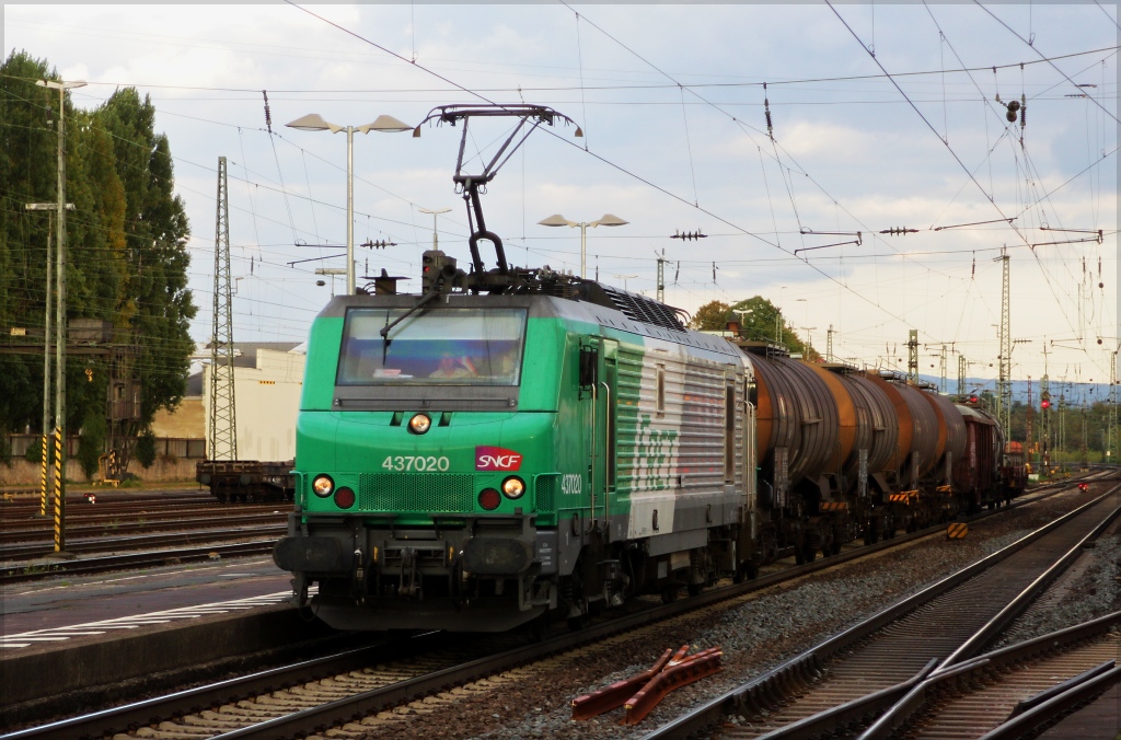 SNCF Frettchen 437020 am 29.09.12 in Neuwied