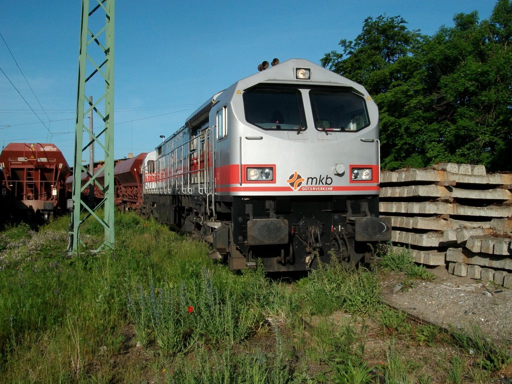 Tiger mit der Nummer V20 von mkb auf der Ladestrae von Bergen/Rgen.