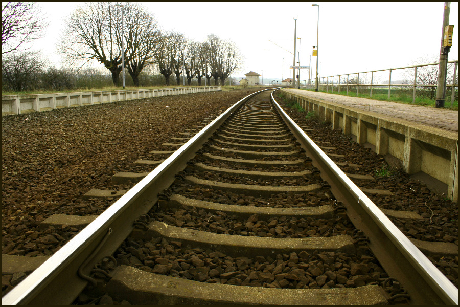 �brig gebliebenes Zugfahrgleis der Strecke Artern - Erfurt am Reinsdorfer Bahnhof; 04.04.2009 (Foto: Selmar Petzoldt)