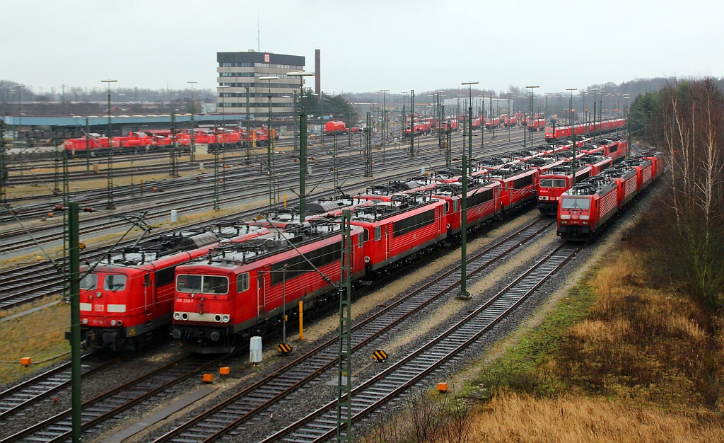 Verkehrsrot so weit das Auge reicht.....Maschen am 07.01.12