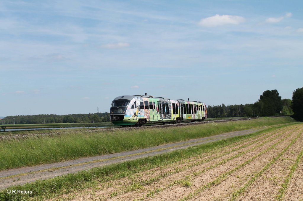 VT04 als VBG81123 Schwandorf - Marktredwitz bei Oberteich. 13.06.13