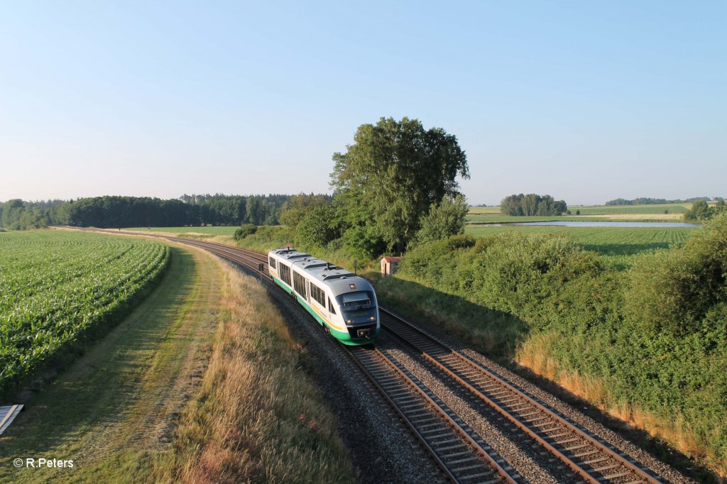 VT15 als VBG20891 Schwandorf - Marktredwitz - Cheb bei Oberteich. 19.07.13  