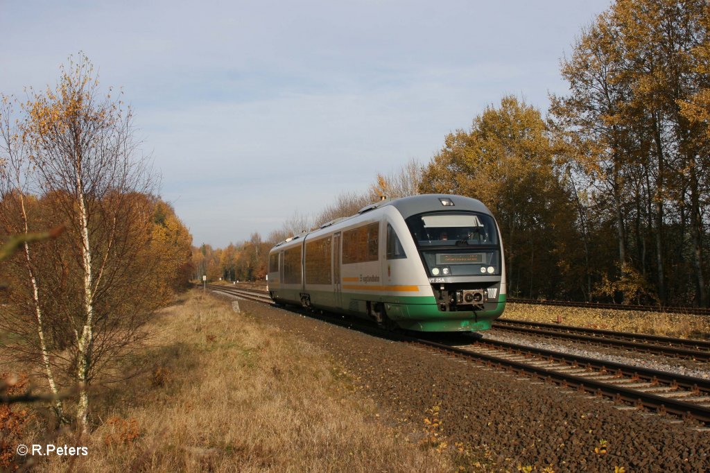 VT25 als VBG81123 aus Hof auf den Weg nach Regensburg bei Schnfeld. 04.11.11