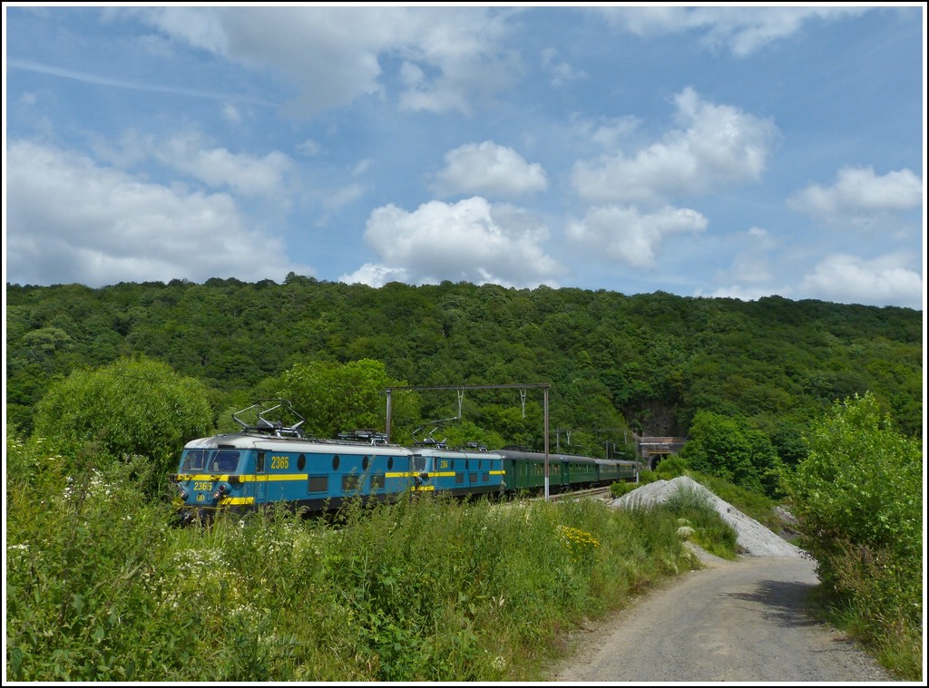 Wenn man dann auch noch klein ist, bleibt einem nur den Sonderzug im Grnen zu fotografieren bei der Ausfahrt aus dem Tunnel in Landelies. 23.06.2012 (Jeanny)