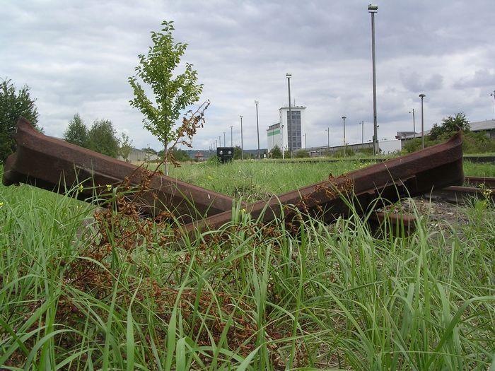 Zugewachsene Rangiegleise im Bf Vitzenburg; 2006 (Foto: Thomas Menzel)