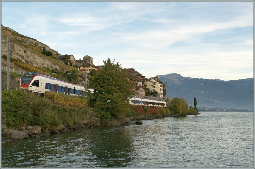 Zwei SBB Flirts RABe 523 am Lac Leman bei St-Saphorin.
17.10.2012