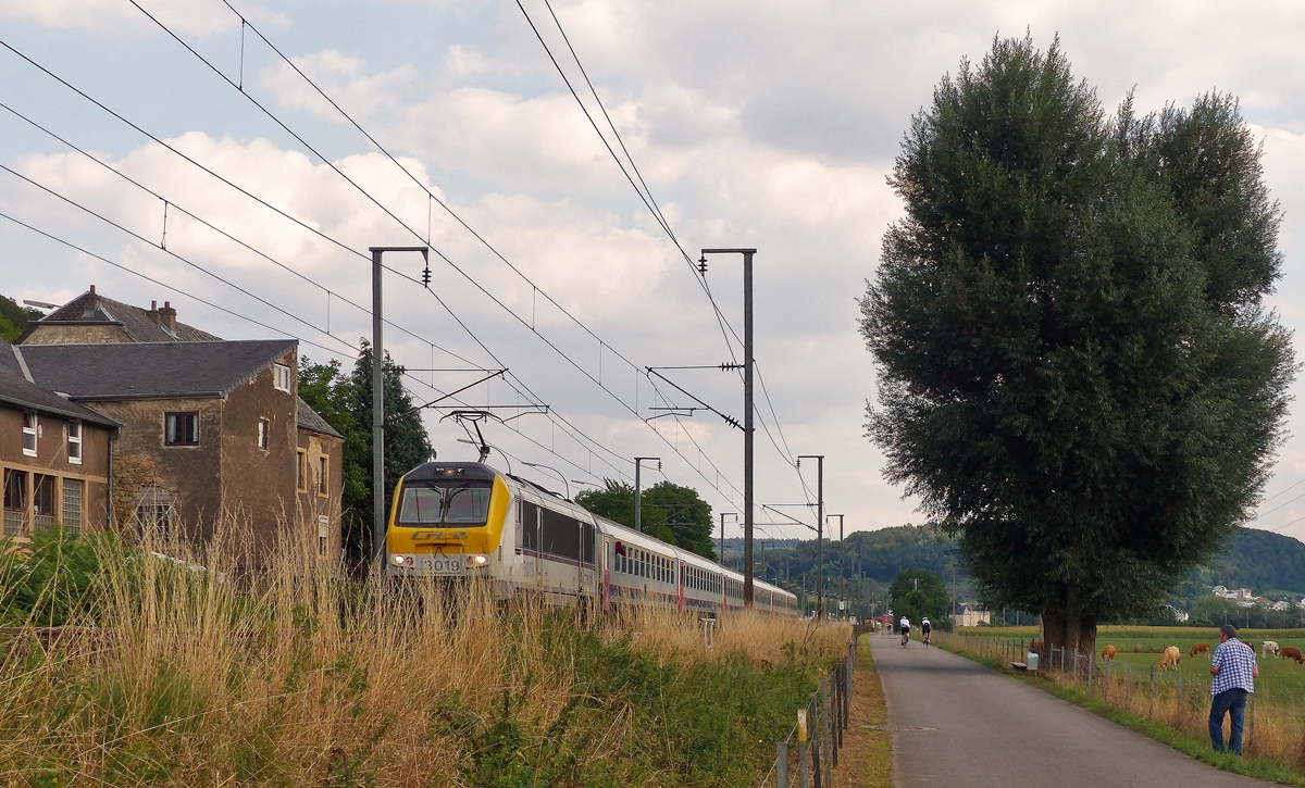 . Armin hat mich gefragt, was das Schild  Fauchage tardif  an den luxemburgischen Bahnhfen bedeutet, mit diesem Bild wird es auch ohne bersetzung sehr eindrucksvoll erklrt. Meine Arme waren nicht lang genug, um den IC 119 Luxembourg – Liers ohne strendes Gras am Wanderweg zwichen Mersch und Lintgen abzulichten. 

Man beachte auch den Fotografen, samt Linsenputzern, sowie den schnen alten Baum, der seinen Radikalschnitt bestens weggesteckt hat. Die Lnge des IC ist ebenfalls bemerkenswert. 21.08.2015 (Jeanny)
