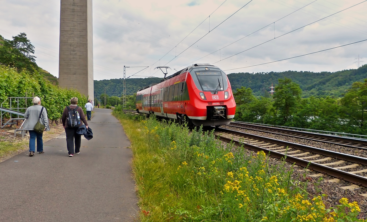 . Der  Baby-Hamster  442 501 / 442 001 (94 80 0442 501-3 D-DB / 94 80 0442 001-4 D-DB) ein kleiner zweiteiliger Bombardier Talent 2 der DB Regio mit dem Taufnamen  Oberbillig  fhrt am 20.06.2014 als RB 81  Moseltal-Bahn  (Koblenz – Cochem – Wittlich – Trier) in Richtung Trier und wird mehr oder weniger von den Bahnfotografen in der Nhe von Winningen beachtet. (Jeanny)