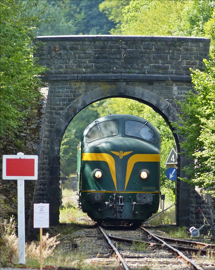 . Diesellok 202020 mit ihrem Zug unter der Brcke nahe Dorinne-Durnal, auf der Ligne du Boq des PFT.  14.08.2017  (Jeanny)