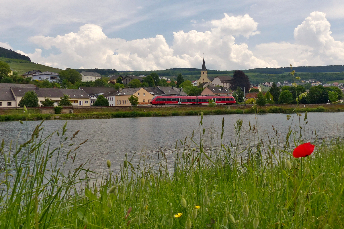 . Gewitterstimmung an der Mosel - Whrend sich auf der deutschen Seite der Mosel dicke Gewitterwolken bildeten, zeigten sich in Machtum am luxemburgischen Ufer die ersten Blten, als der zweiteilige Triebzug der BR 442 durch den beschaulischen Moselort Nittel in Richtung Trier fuhr. 28.05.2016 (Jeanny)