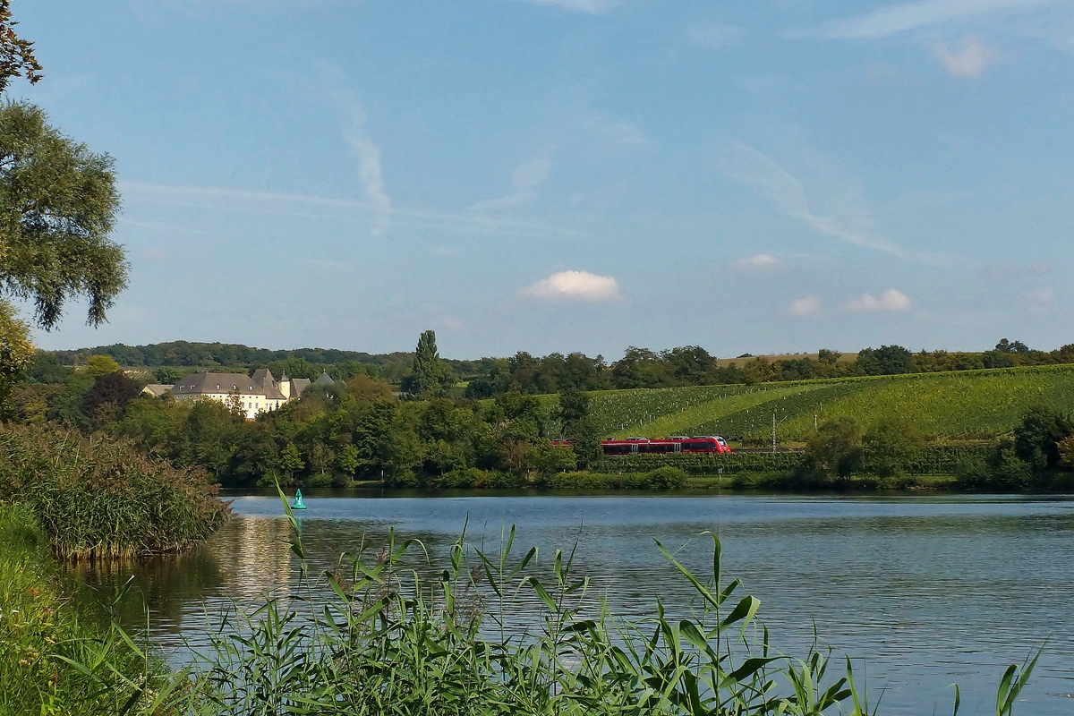 . Motiv verdeckt - Ein unbekannt gebliebener vierteiliger Triebzug der BR 442 befhrt am 17.09.2014 die Obermoselstrecke zwischen Nennig und Palzem und kann vom Moselufer in Remich (L) aus fotografiert werden. Whrend der Zug sich noch im Saarland befindet, wird er bald das Schloss Thorn erreichen, welches schon in Rheinland-Pfalz steht. (Jeanny)

Auf einer Moselanhhe in Palzem im Ortsteil Kreuzweiler erhebt sich das Schloss Thorn. Der Name stammt vom Lateinischen turis (= Turm). Dieser wurde vor ungefhr 2000 Jahren zum Schutz einer Furt als Moselbergang errichtet. Die Burg wurde im 13. Jahrhundert erbaut. Bauliche Erweiterungen im 16. und 17. Jahrhundert sowie das Herrschaftshaus vom Jahre 1800 bilden eine imposante Baugruppe. Ein Rundturm wurde bei der Bombardierung 1945 zerstrt, der zweite Turm, ein rechteckiger ehemaliger Wohnturm, dient heute als Torturm. Thorn sah vom Mittelalter an verschiedene Geschlechter als Lehnsmannen, so die Herren von Rollingen, die von Bbingen und die von Musiel. Heutiger Inhaber ist die Familie Baron von Hobe-Gelting. Thorn ist das lteste Schlossweingut an der Mosel. Sehenswert ist die einzig erhaltene Baumkelter Europas.