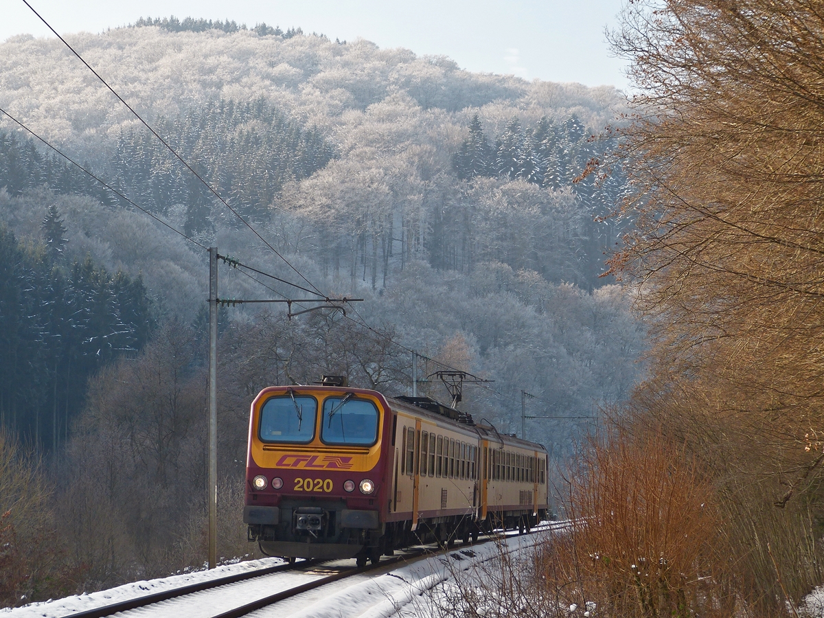 . Winterliches Tal der Wiltz - Whrend der Wald im Hintergrund nochmal seine winterliche Pracht zeigt, fhrt der Z 2020 als RE 1836 Wiltz - Kautenbach in der Nhe von Merkholtz an mir vorbei. 22.01.2016 (Hans) 