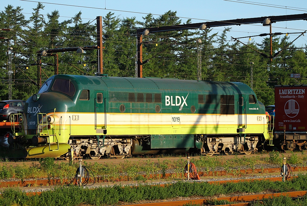 06:30h und die BLDX MX 1019 kommt aus ihrem  Versteck  um den kurz zuvor angelieferten Lauritzen-KLV in den Verladebereich von TXL Danmark ApS zu rangieren. 08.06.2013