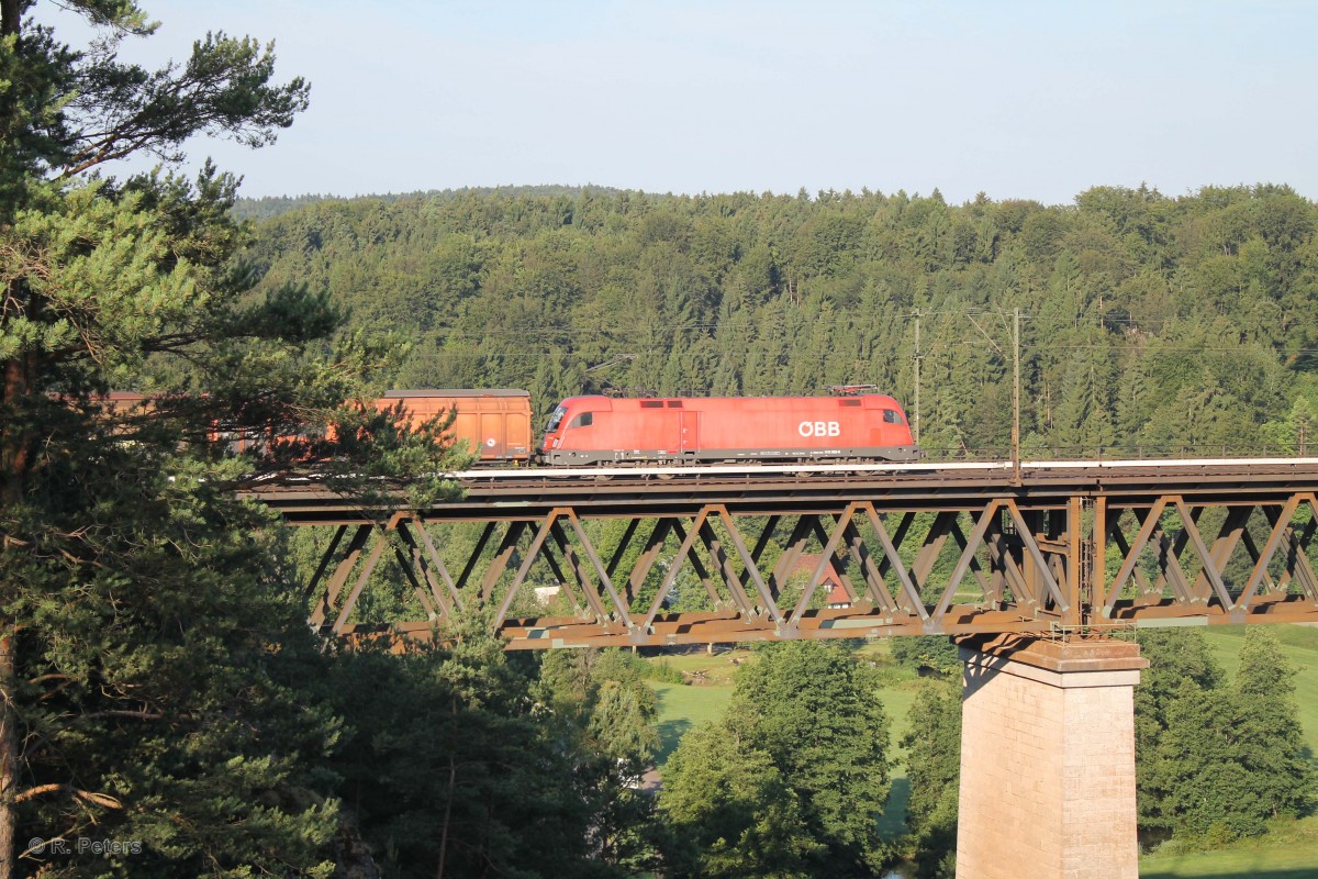 1116 195-9 mit einem gemischten Güterzug auf dem Beratzhausener Viadukt. 23.07.14