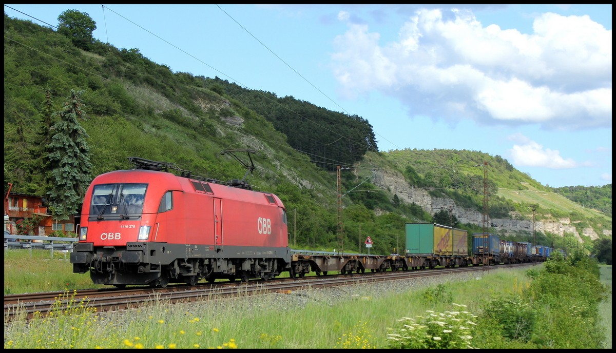 1116 275  MAX  mit Containerzug am 24.05.14 bei Karlstadt