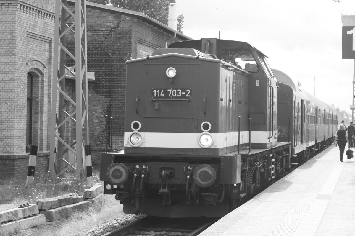 114 703 (203 230) im Bahnhof Bergen auf Rgen am 1.8.21