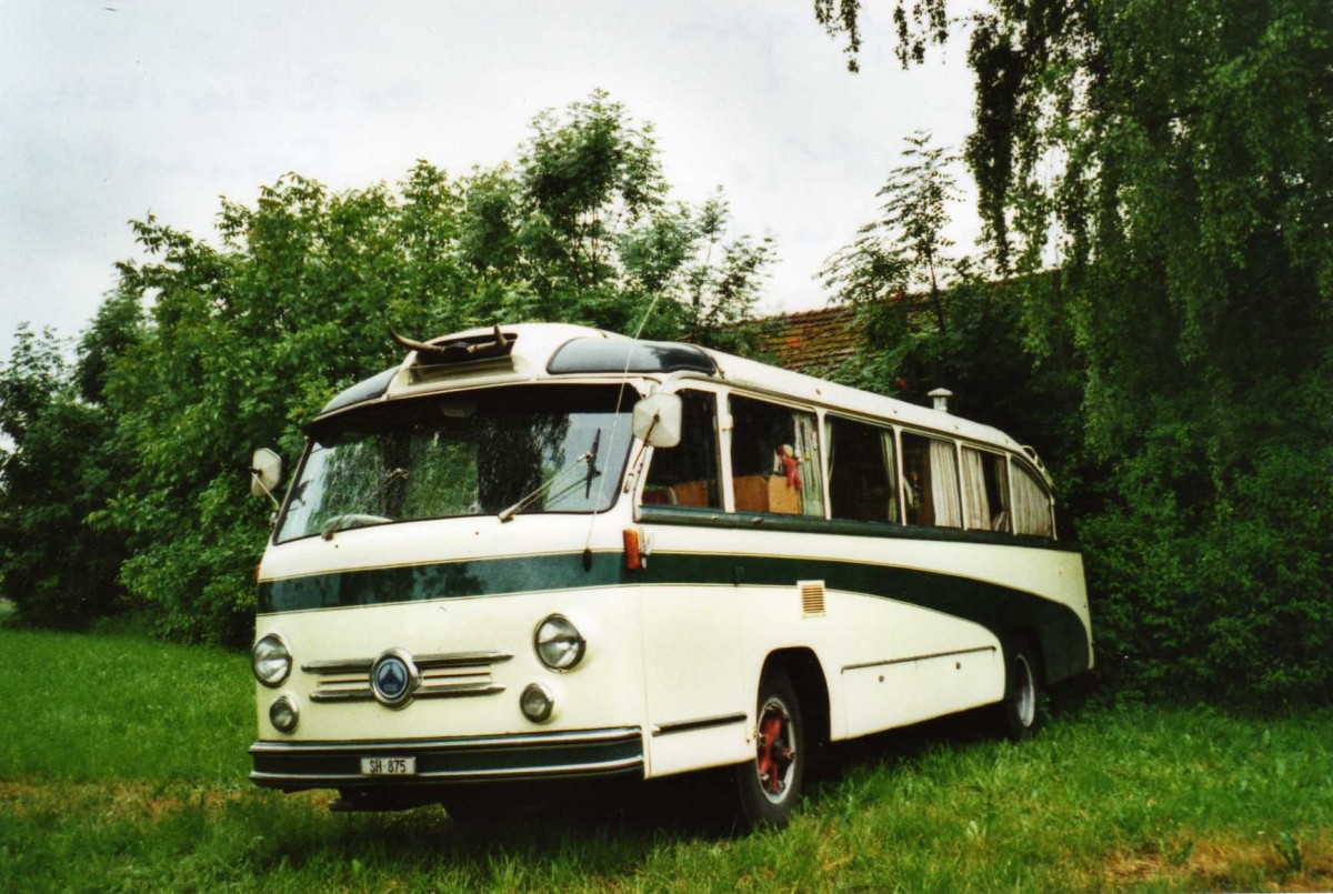 (117'211) - Wehrli, Thayngen - SH 875 - Saurer/Saurer (ex Rieser+Vetter, Frauenfeld) am 6. Juni 2009 in Thayngen, Saurertreffen