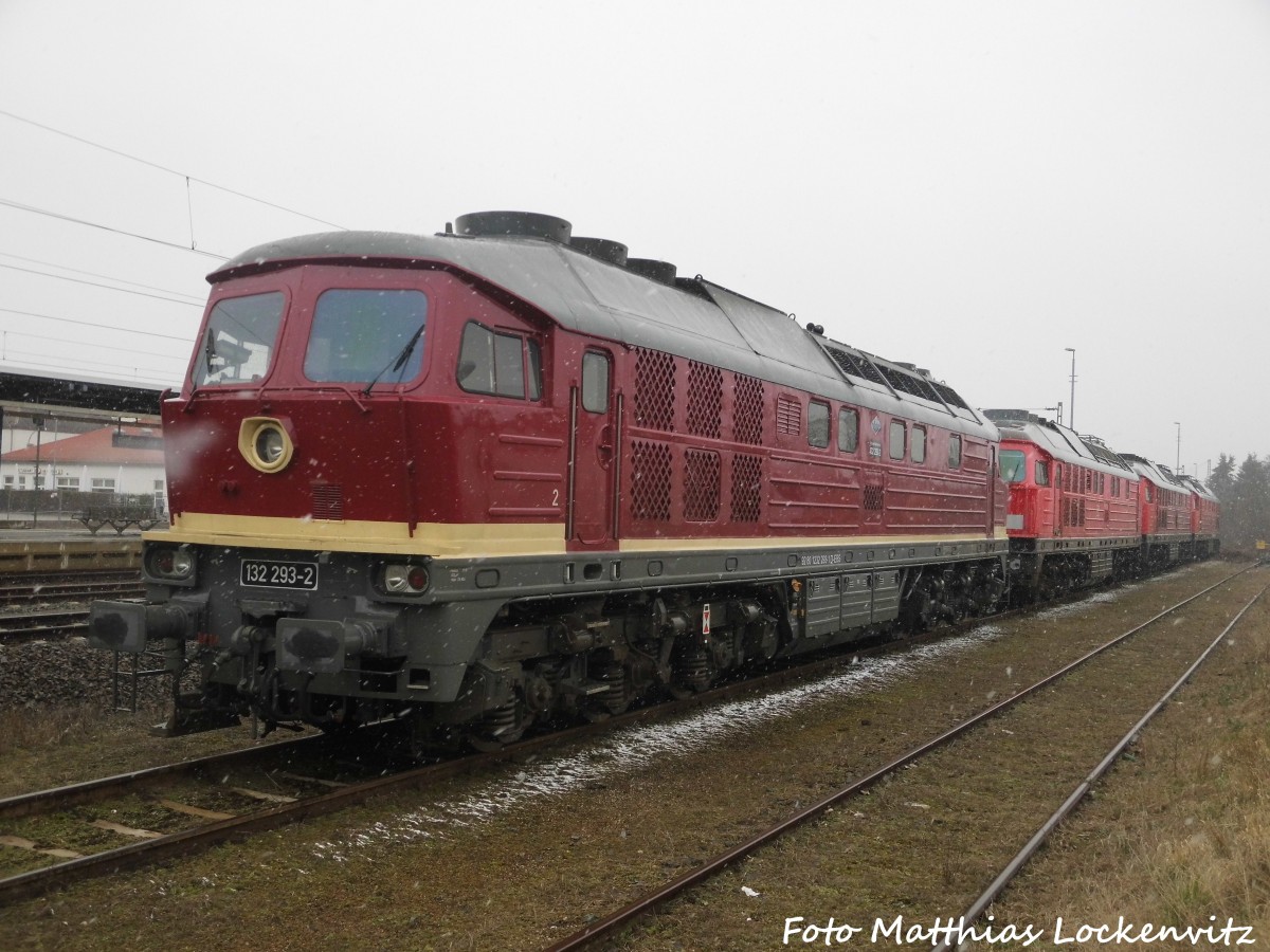 132 293 der EBS und dahinter die ausgeschlachteten Dieselloks 232 561 und 232 229 und 232 XXX in Delitzsch am 29.2.16