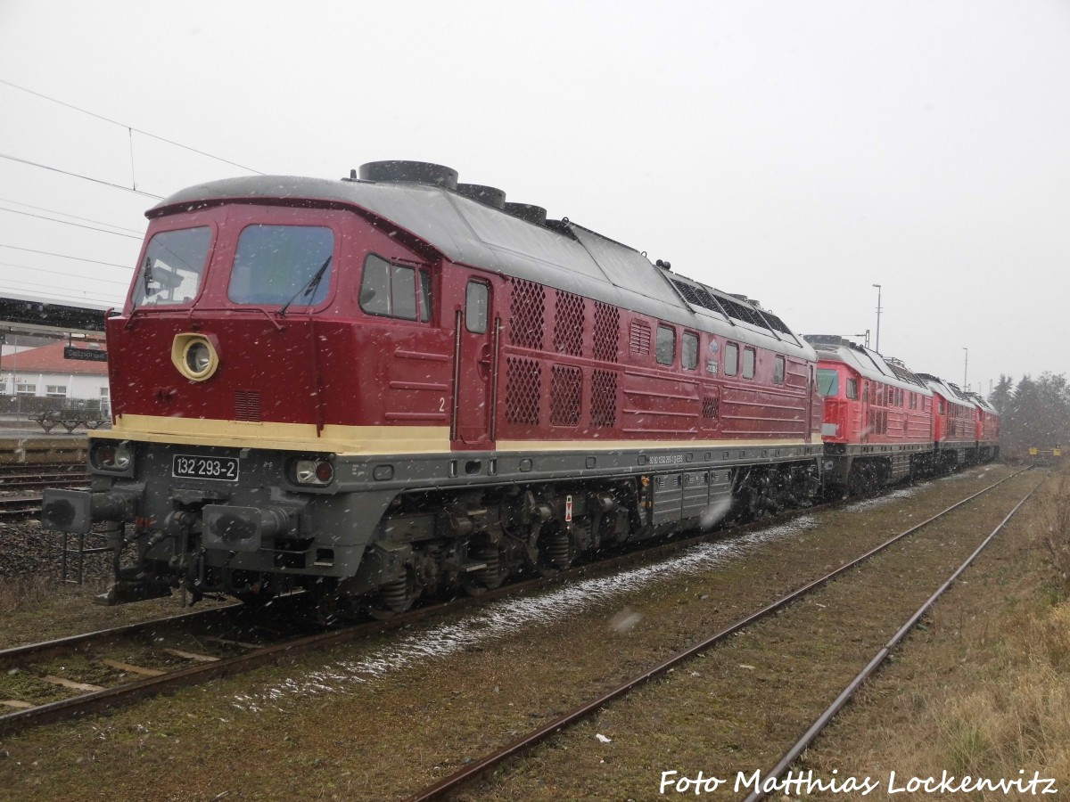 132 293 der EBS und dahinter die ausgeschlachteten Dieselloks 232 561 und 232 229 und 232 XXX in Delitzsch am 29.2.16