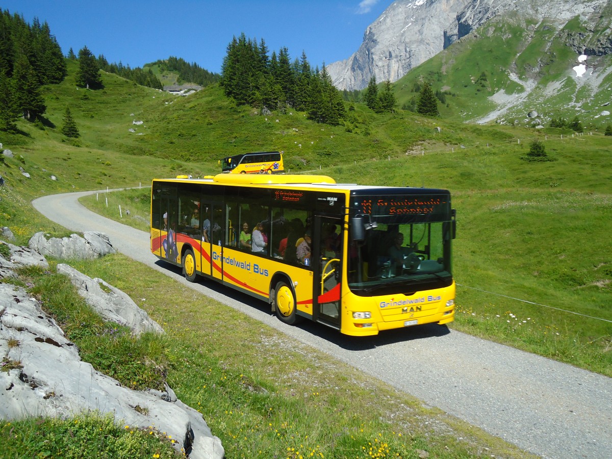 (134'779) - AVG Grindelwald - Nr. 11/BE 261'865 - MAN am 3. Juli 2011 in Grindelwald, Oberer Lauchbhl