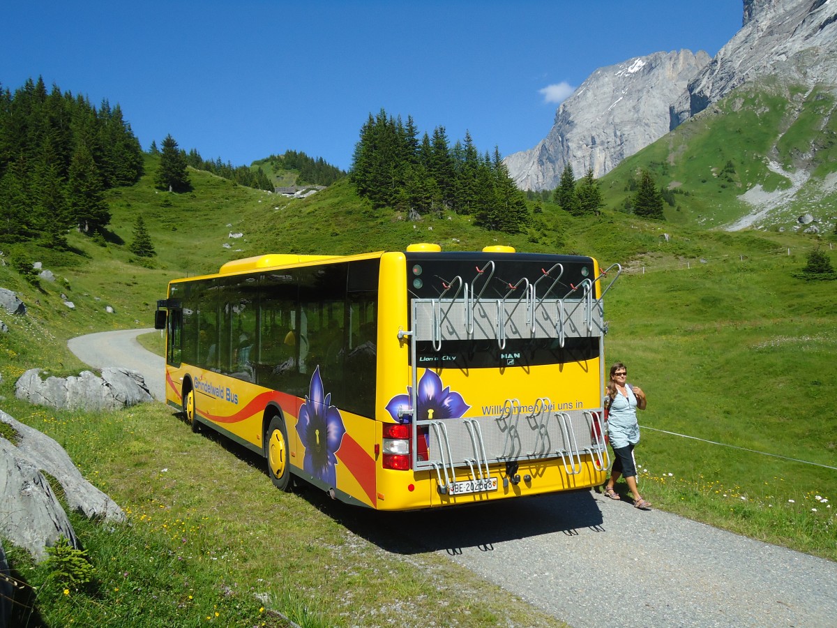 (134'785) - AVG Grindelwald - Nr. 14/BE 202'568 - MAN/Gppel am 3. Juli 2011 in Grindelwald, Oberer Lauchbhl