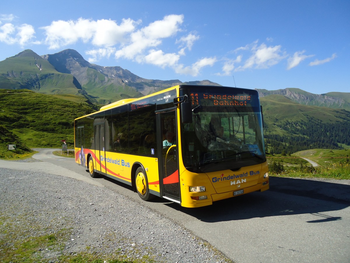 (134'805) - AVG Grindelwald - Nr. 14/BE 202'568 - MAN/Gppel am 3. Juli 2011 auf der Grossen Scheidegg