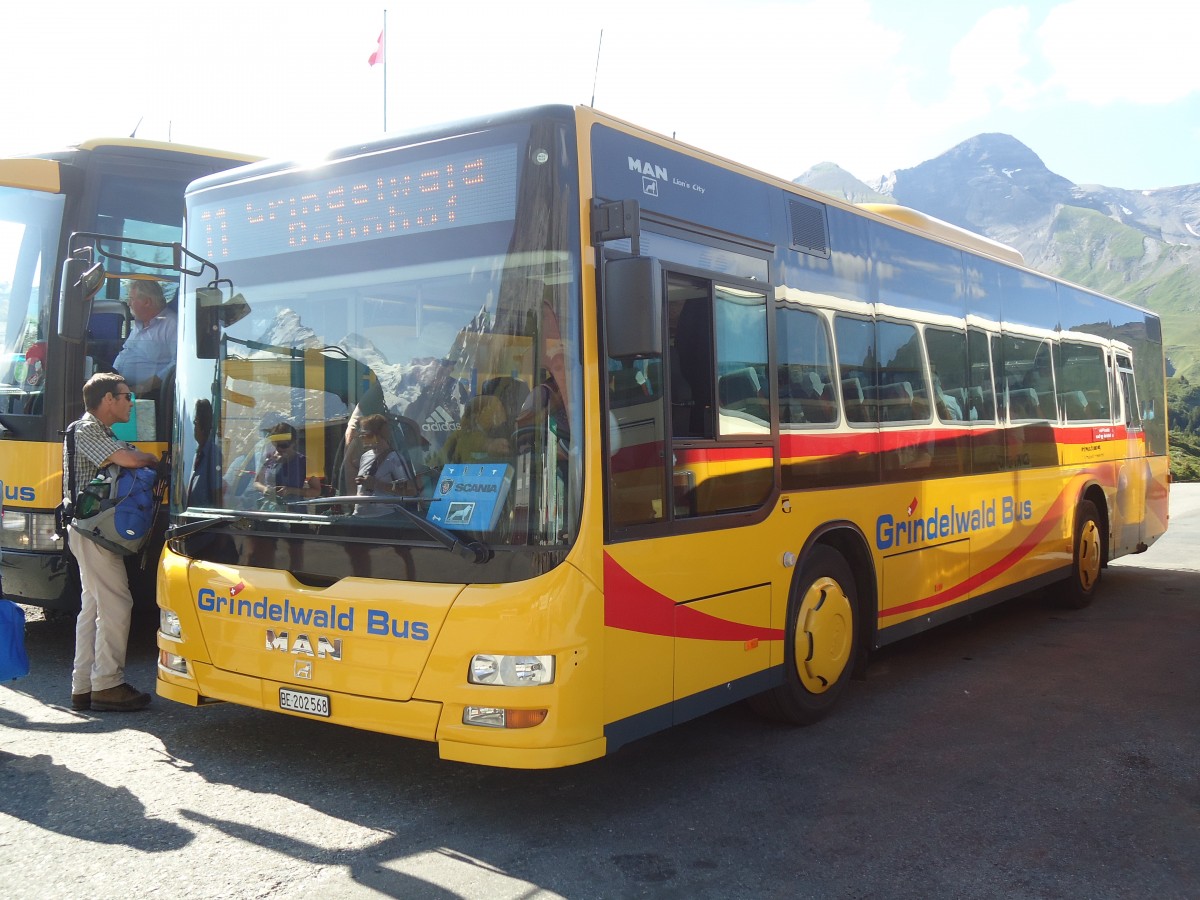 (134'806) - AVG Grindelwald - Nr. 14/BE 202'568 - MAN/Gppel am 3. Juli 2011 auf der Grossen Scheidegg