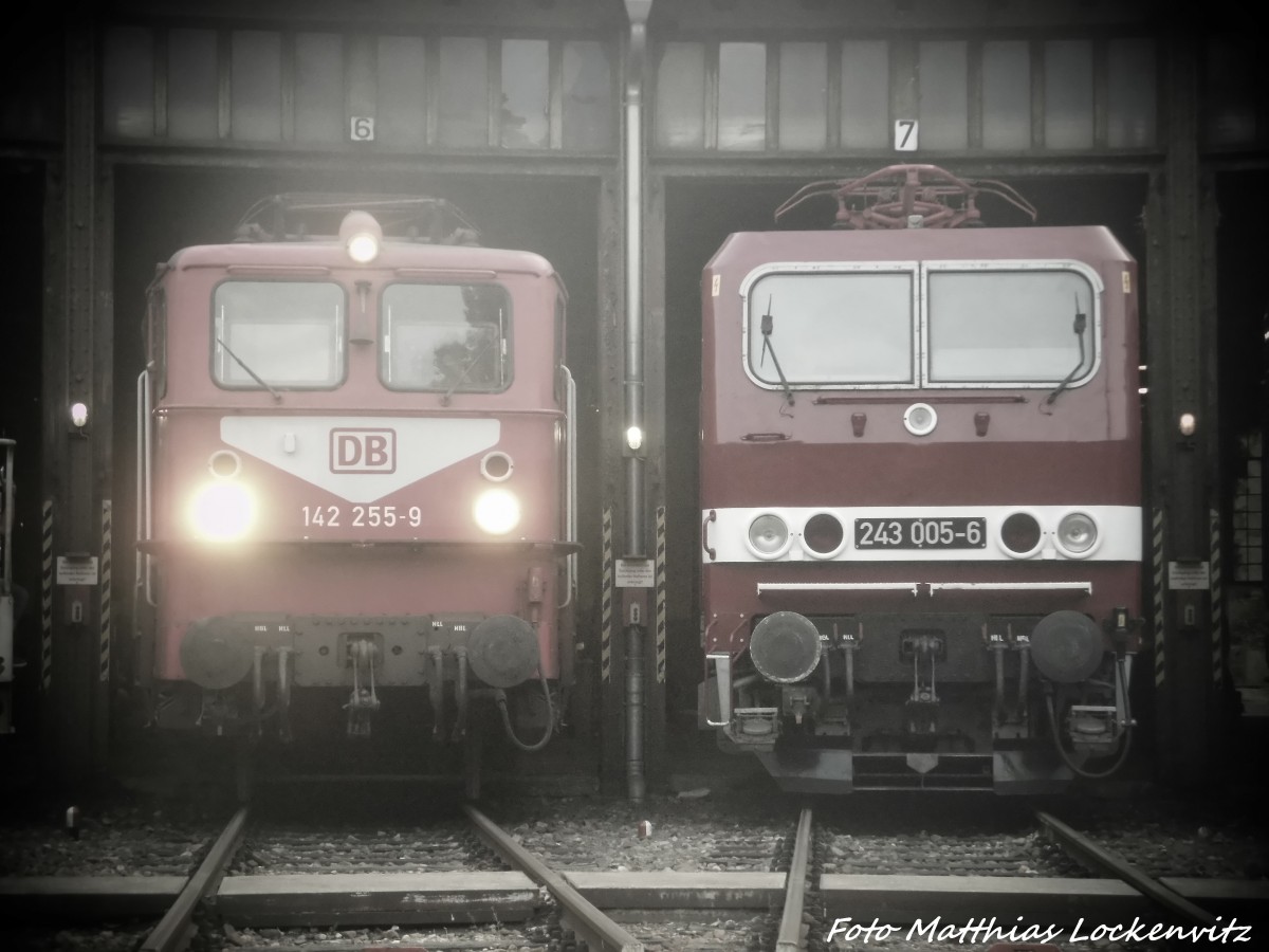 142 255 und 243 005 im DB Museum Halle (Saale) am 4.7.15