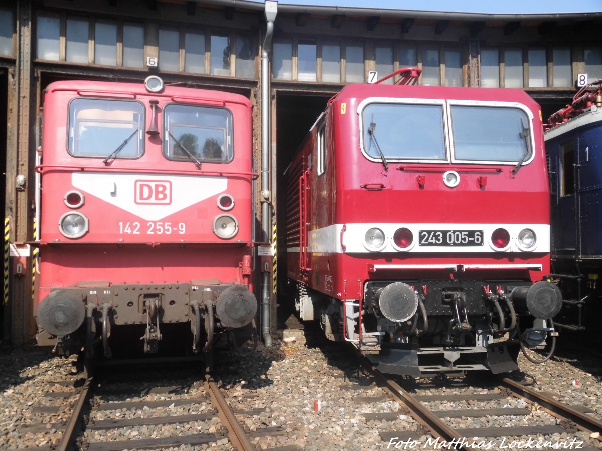 142 255-9 und 243 005 im DB Museum Halle (Saale) am 4.7.15