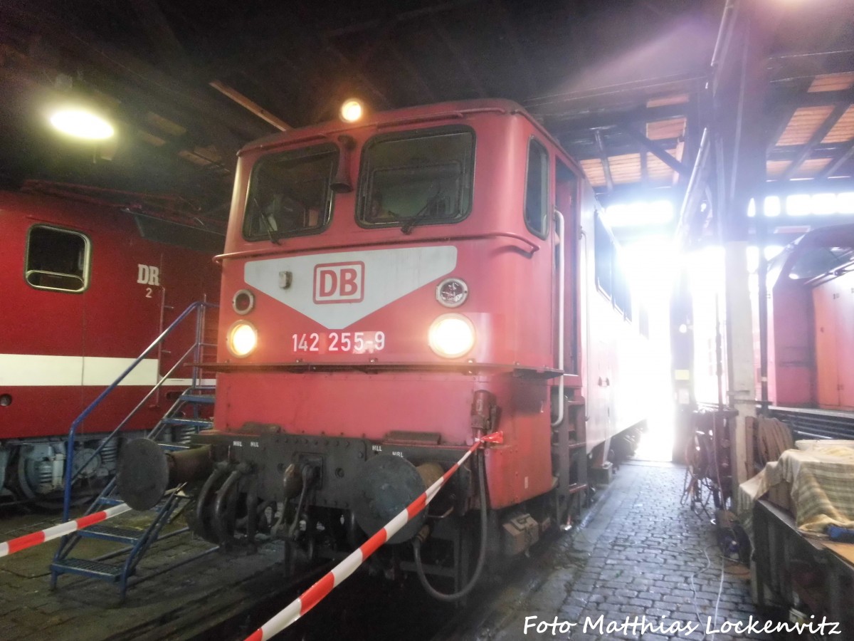 142 255 im DB Museum Halle (Saale) am 4.7.15