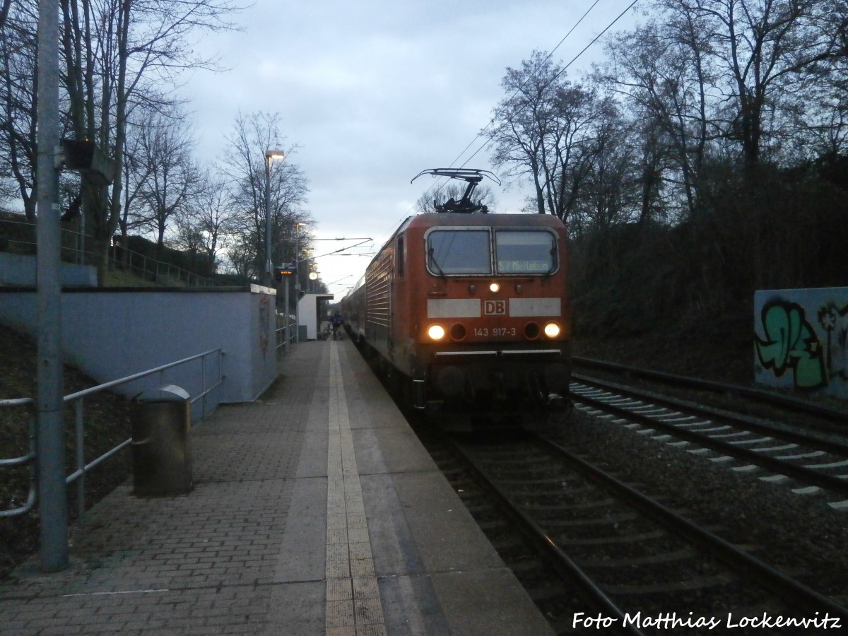 143 917-3 am S-Bahnhof Dessauer Brcke am 27.1.15