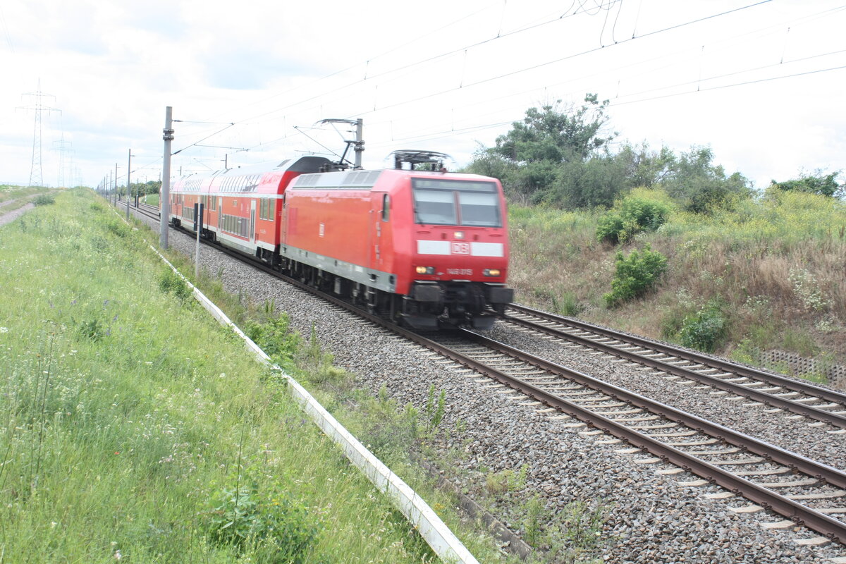 146 015 mit dem RE30 mit Ziel Magdeburg Hbf unterwegs zwischen Zberitz und Niemberg am 5.7.21