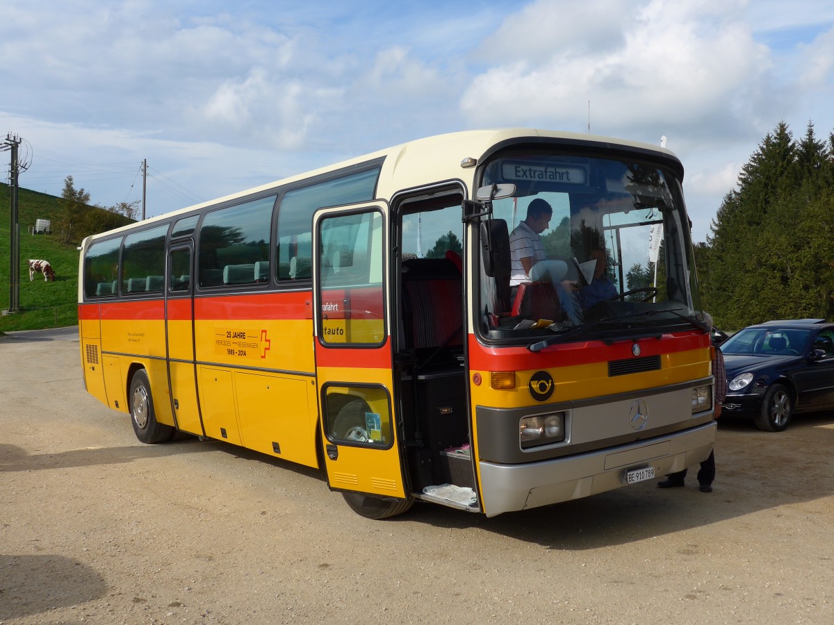 (155'539) - Buzzi, Bern - BE 910'789 - Mercedes (ex Mattli, Wassen) am 5. Oktober 2014 in Kaltacker, Lueg