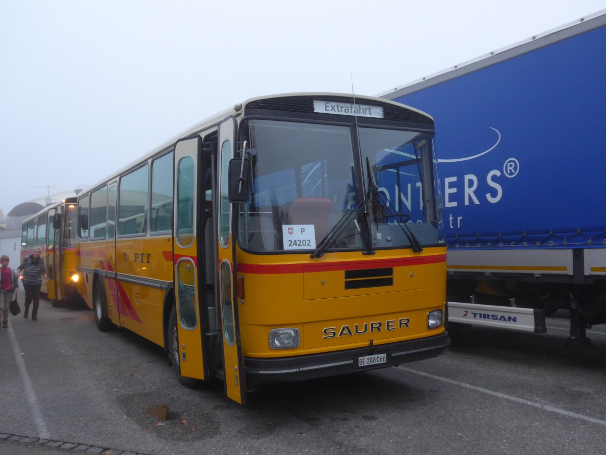 (155'596) - Thommen, Sutz - BE 288'066 - Saurer/Hess (ex P 24'202) am 12. Oktober 2014 in Deitingen, Autobahnraststtte