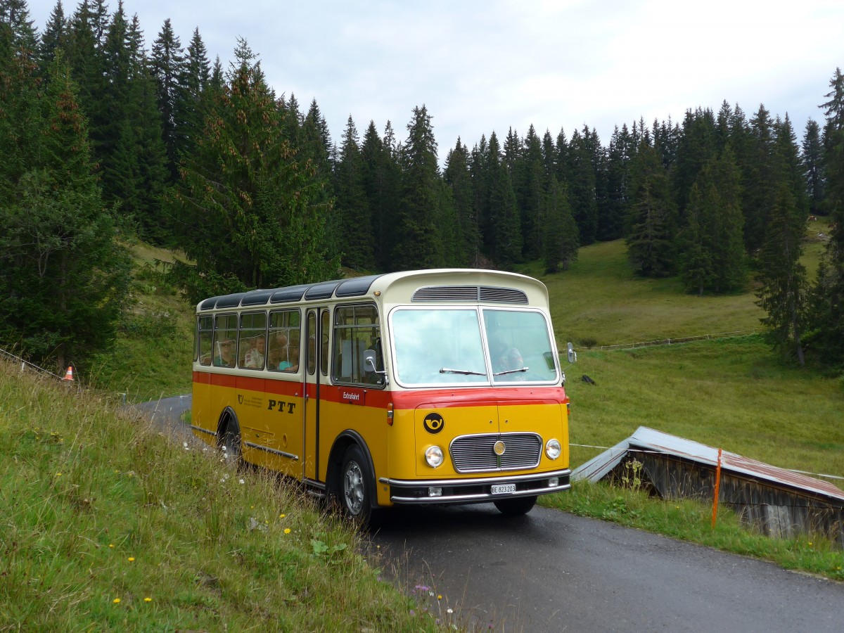 (163'777) - Rentsch, Gunten - BE 823'203 - FBW/Gangloff (ex P 23'203; ex P 21'003) am 23. August 2015 in Habkern, Lombachalp