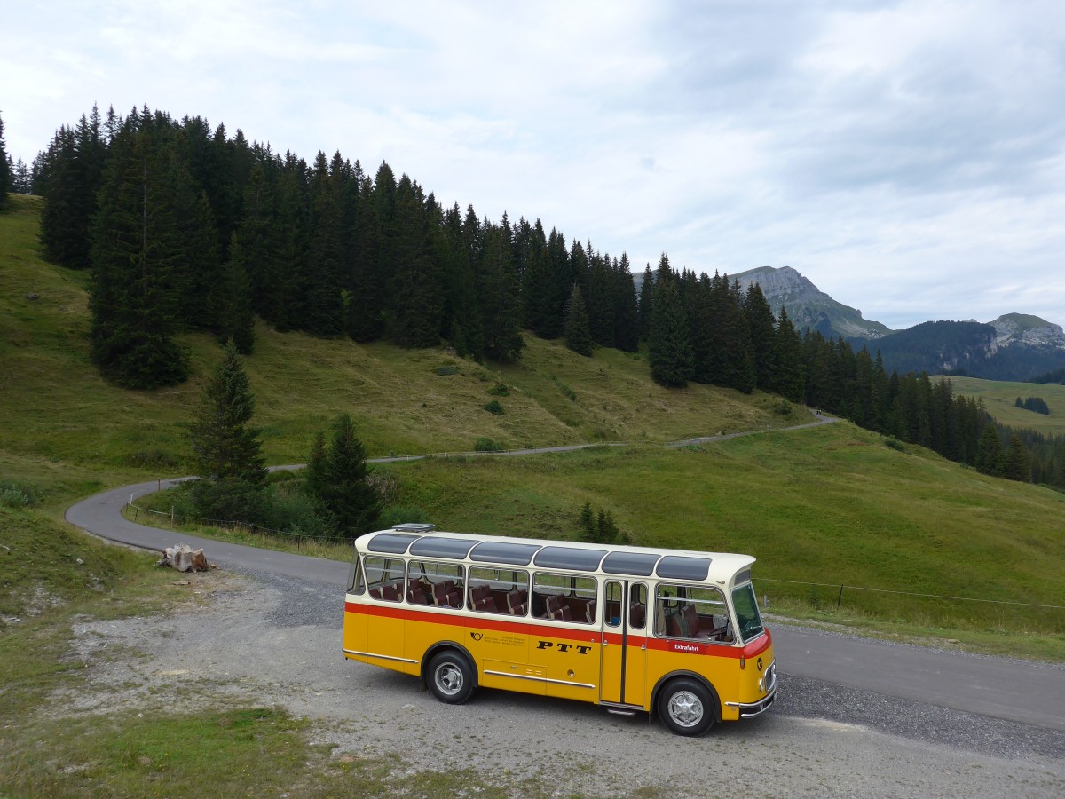 (163'818) - Rentsch, Gunten - BE 823'203 - FBW/Gangloff (ex P 23'203; ex P 21'003) am 23. August 2015 in Habkern, Lombachalp