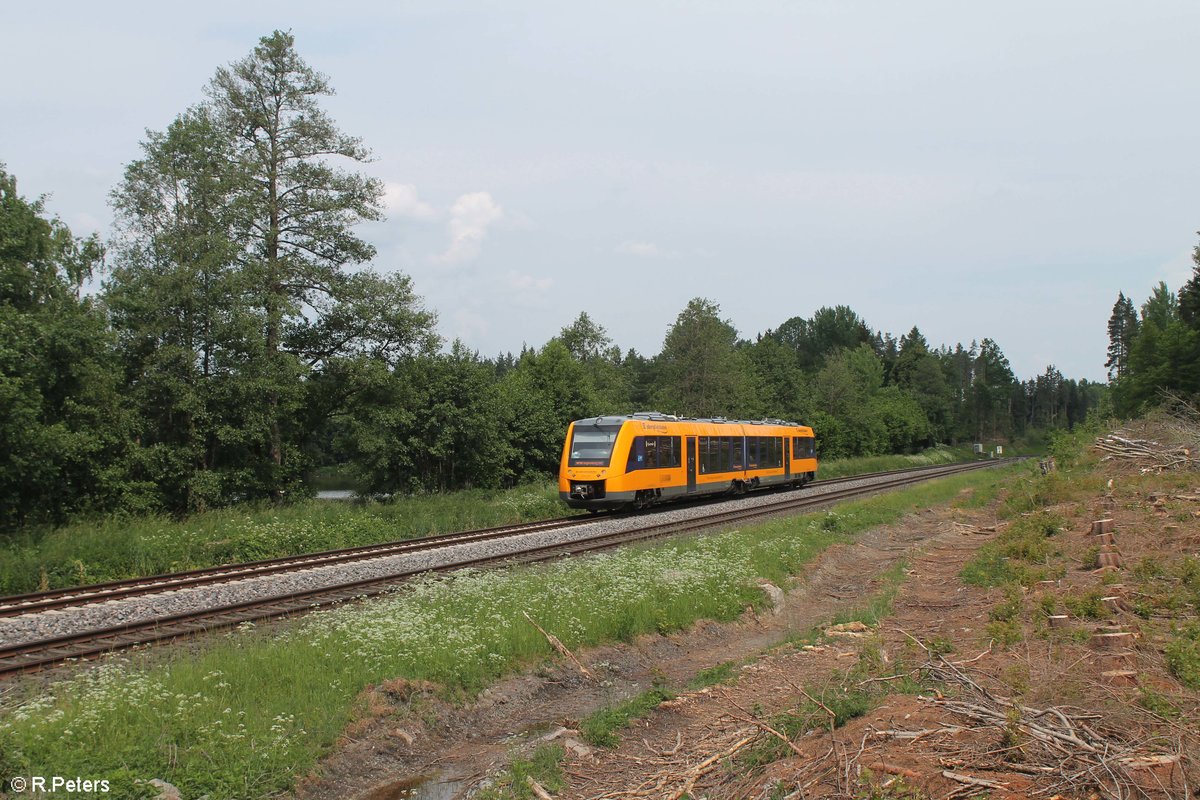 1648 201 als OPB 79721 Marktredwitz - Regensburg südlich Wiesau. 27.05.18